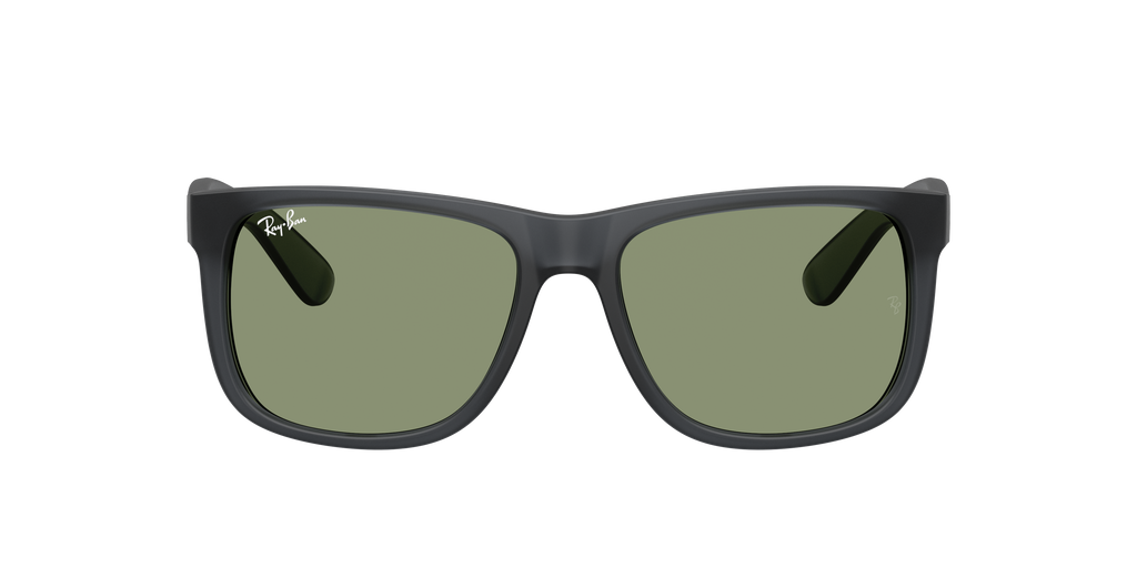 RB4165 - 687382 sunglasses - view 2