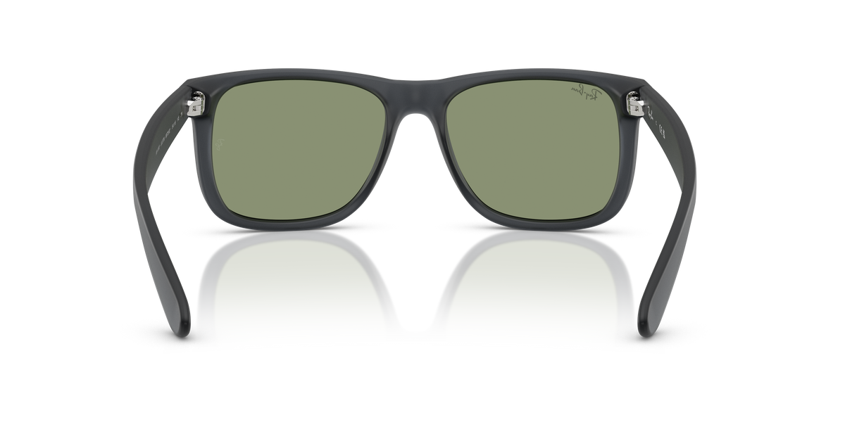 RB4165 - 687382 sunglasses - view 5