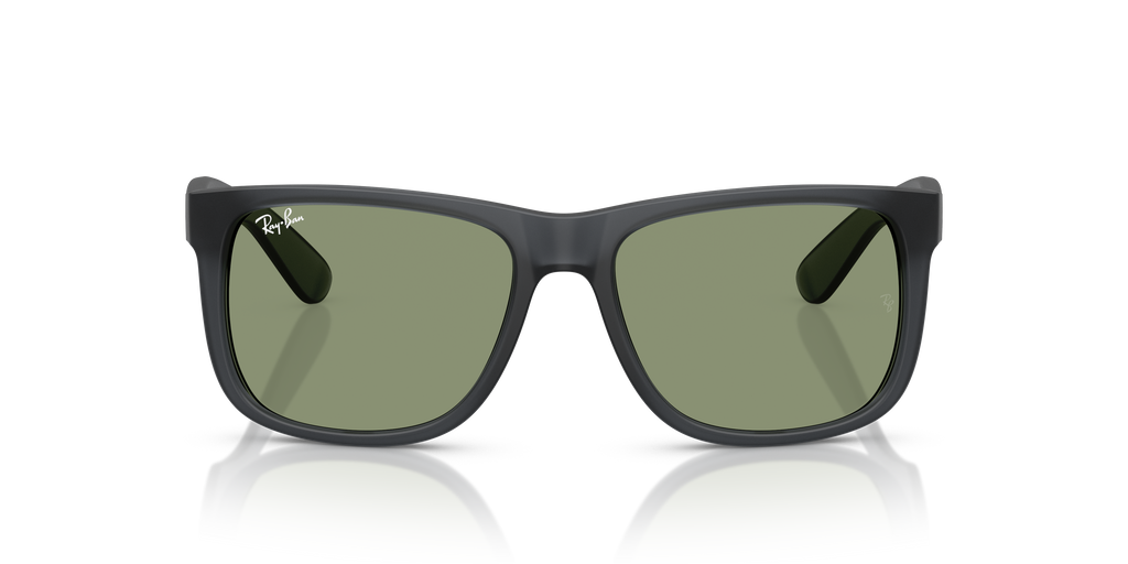 RB4165 - 687382 sunglasses - view 7