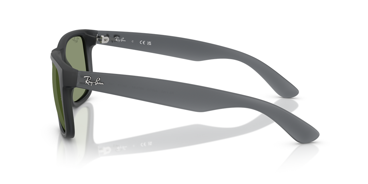 RB4165 - 687382 sunglasses - view 8