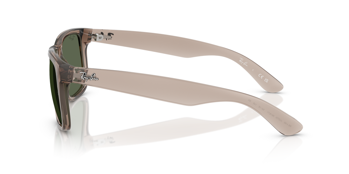 RB4165 - 691871 sunglasses - view 8