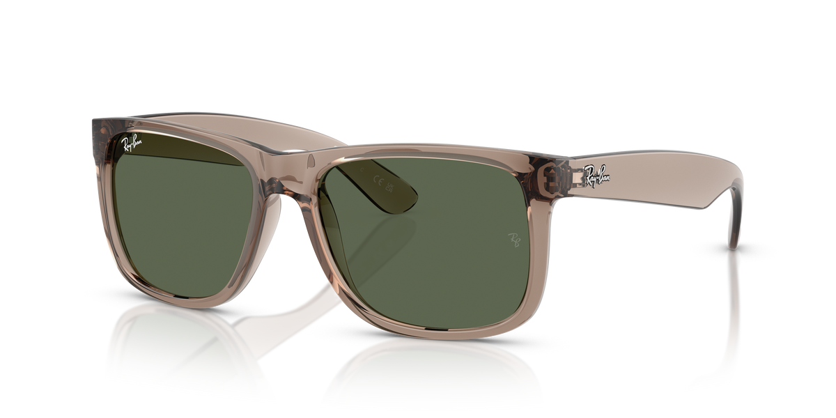 RB4165 - 691871 sunglasses - view 9