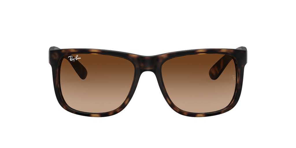 RB4165 - 71013 sunglasses - view 19