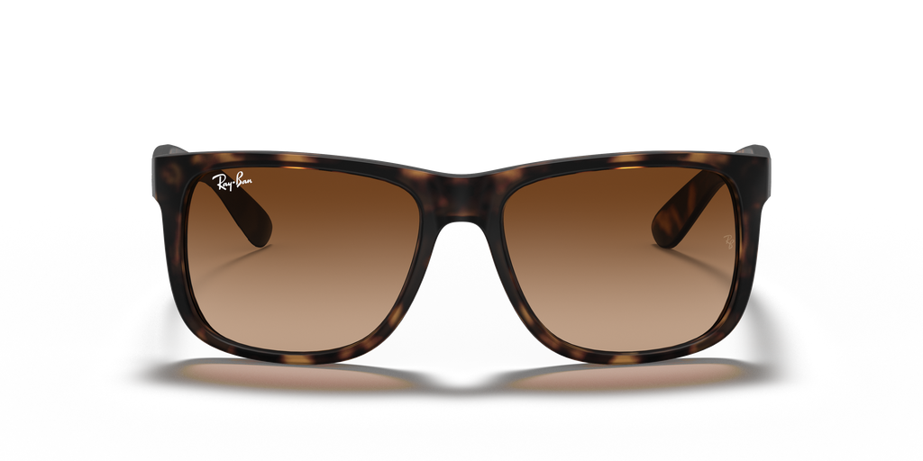 RB4165 - 71013 sunglasses - view 24