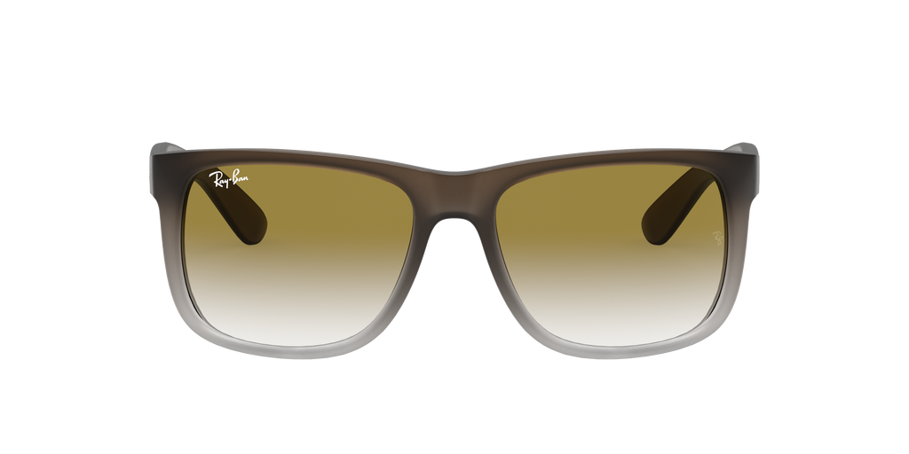 RB4165 - 8547Z sunglasses - view 18