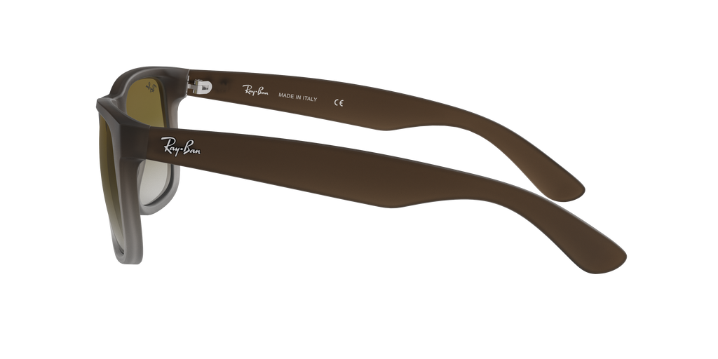 RB4165 - 8547Z sunglasses - view 5