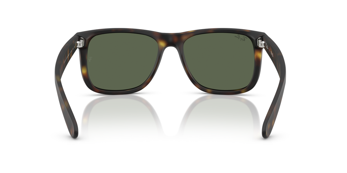 RB4165 - 86571 sunglasses - view 5