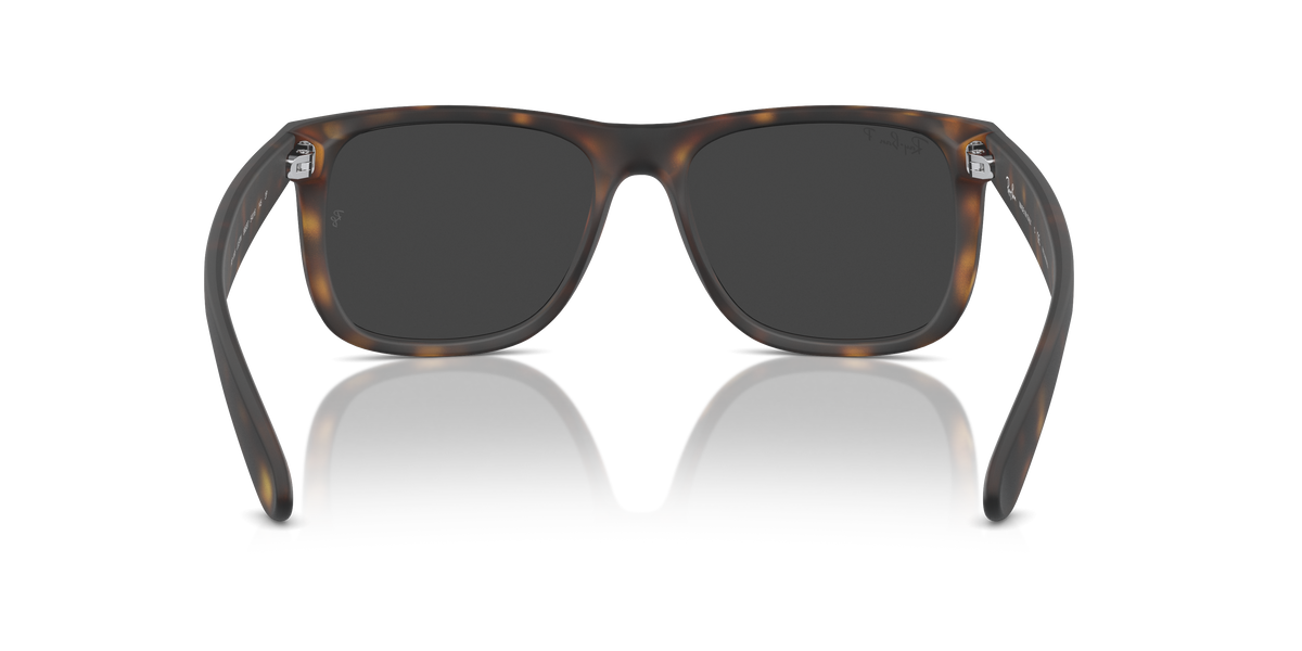 RB4165 - 86587 sunglasses - view 5