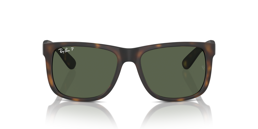 RB4165 - 8659A sunglasses - view 7