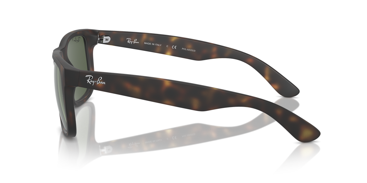 RB4165 - 8659A sunglasses - view 8