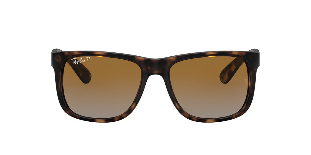 RB4165 - 865T5 sunglasses - view 19