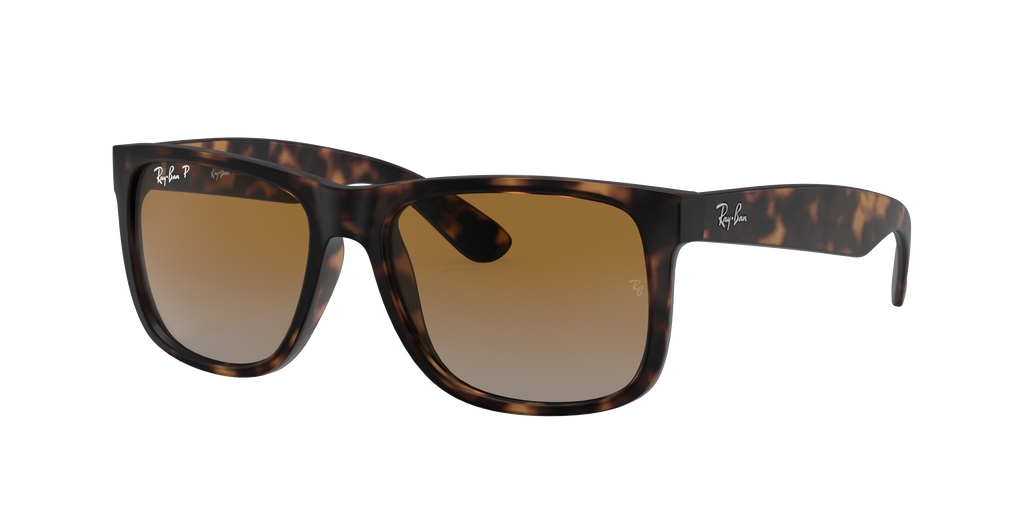 RB4165 - 865T5 sunglasses - view 20