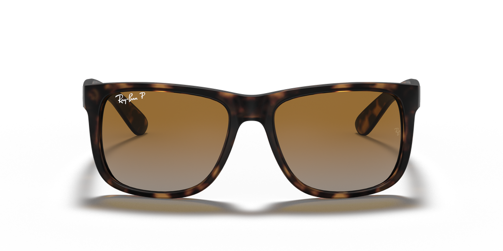 RB4165 - 865T5 sunglasses - view 24