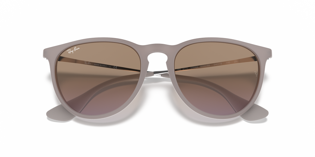 RB4171 - 600068 sunglasses - view 23