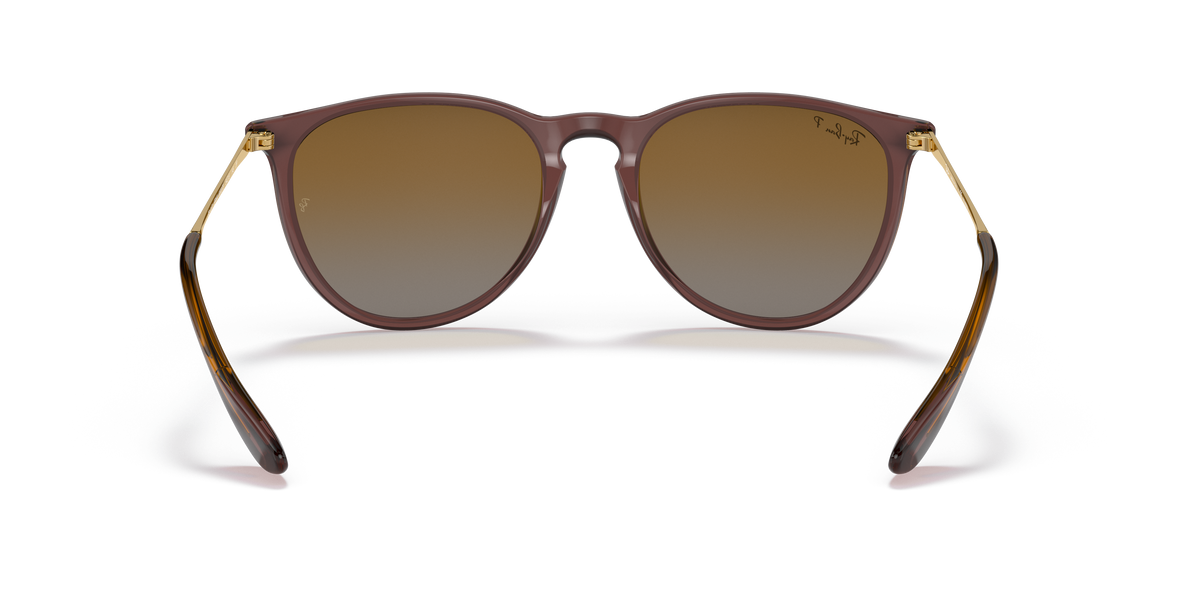RB4171 - 6593T5 sunglasses - view 18