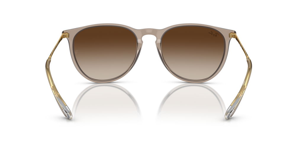 RB4171 - 674413 sunglasses - view 5