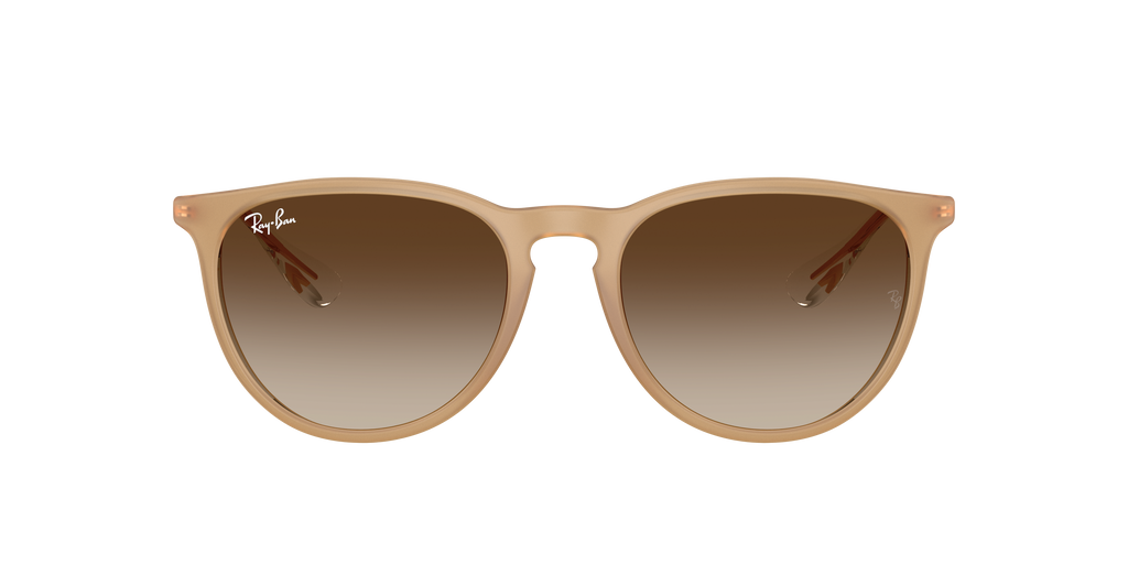 RB4171 - 681413 sunglasses - view 2