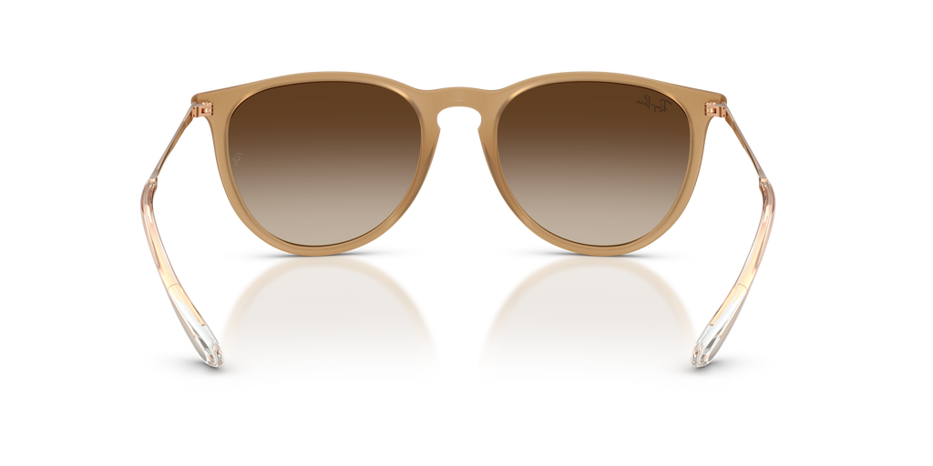 RB4171 - 681413 sunglasses - view 5