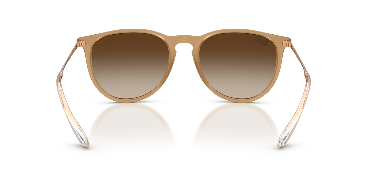 RB4171 - 681413 sunglasses - view 5