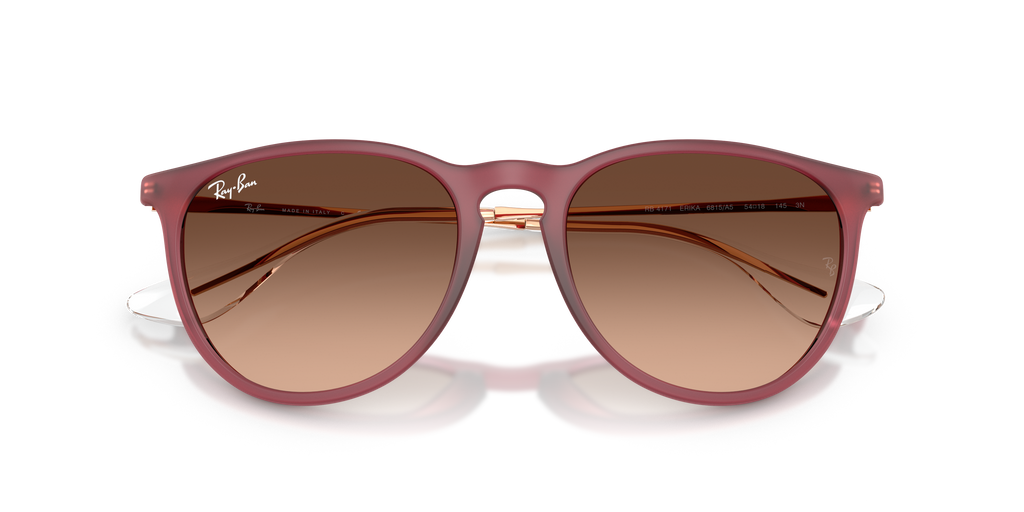 RB4171 - 6815A5 sunglasses - view 6
