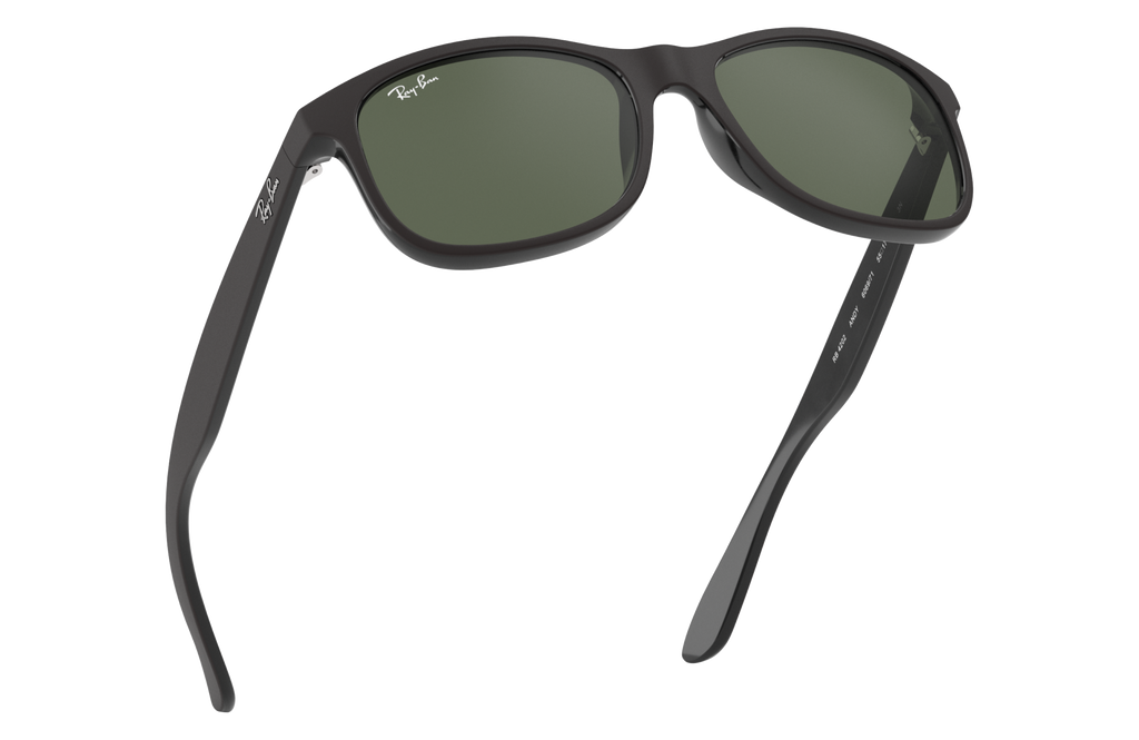RB4202 - 606971 sunglasses - view 14