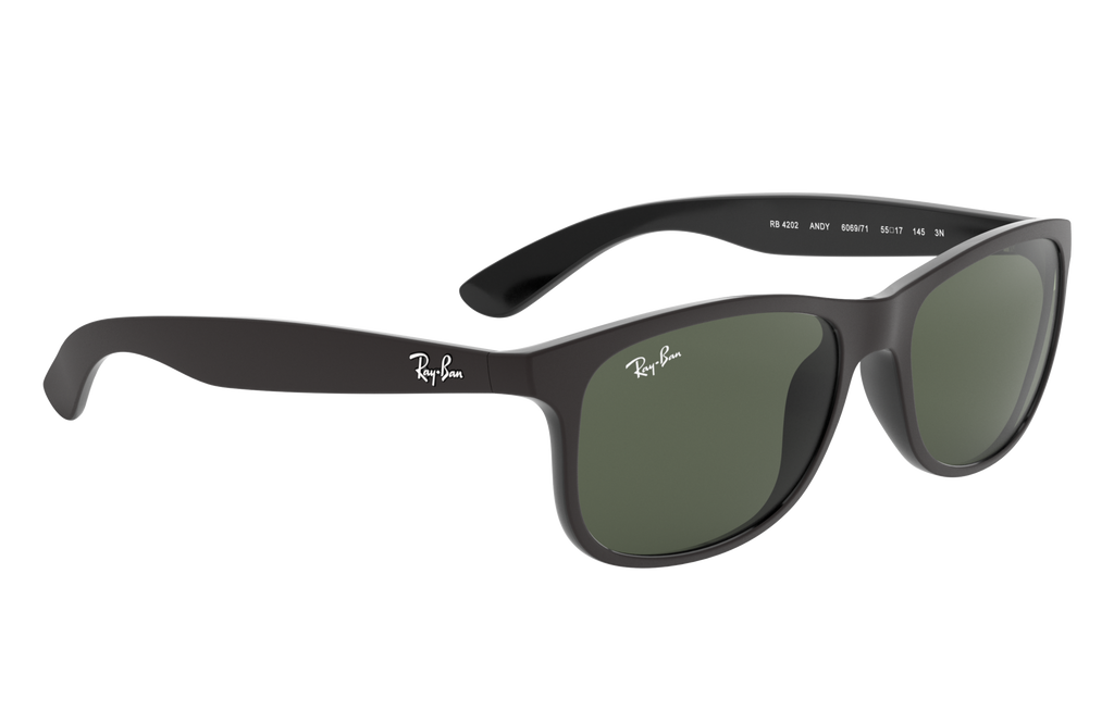 RB4202 - 606971 sunglasses - view 15