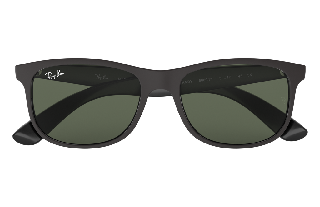 RB4202 - 606971 sunglasses - view 16
