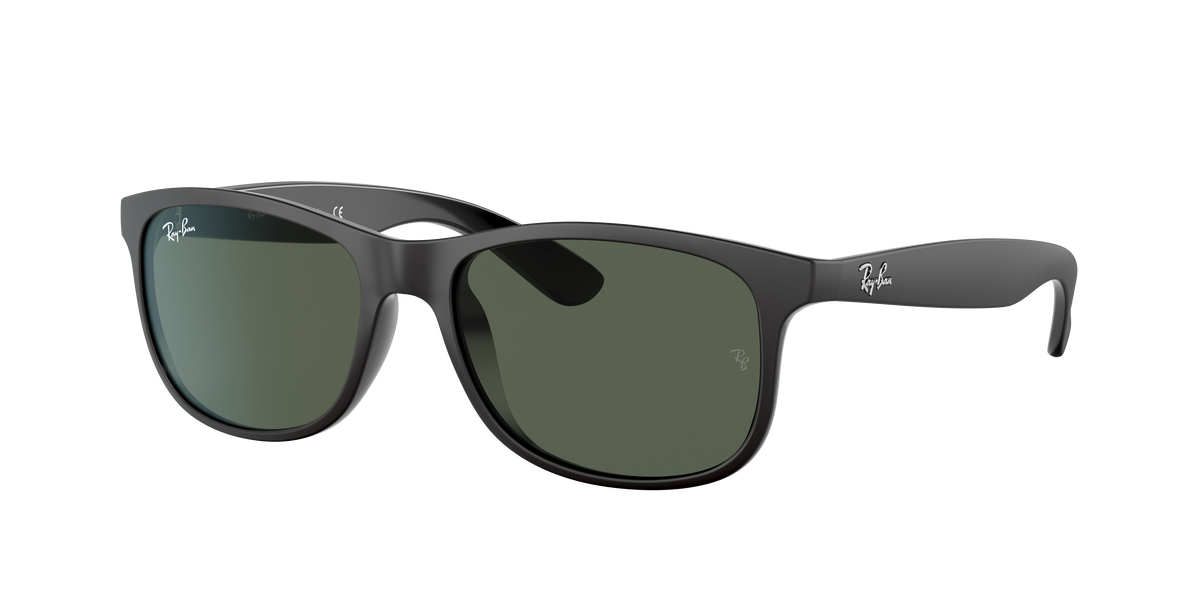 RB4202 - 606971 sunglasses - view 20