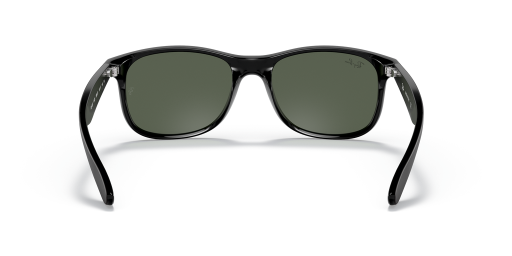 RB4202 - 606971 sunglasses - view 22