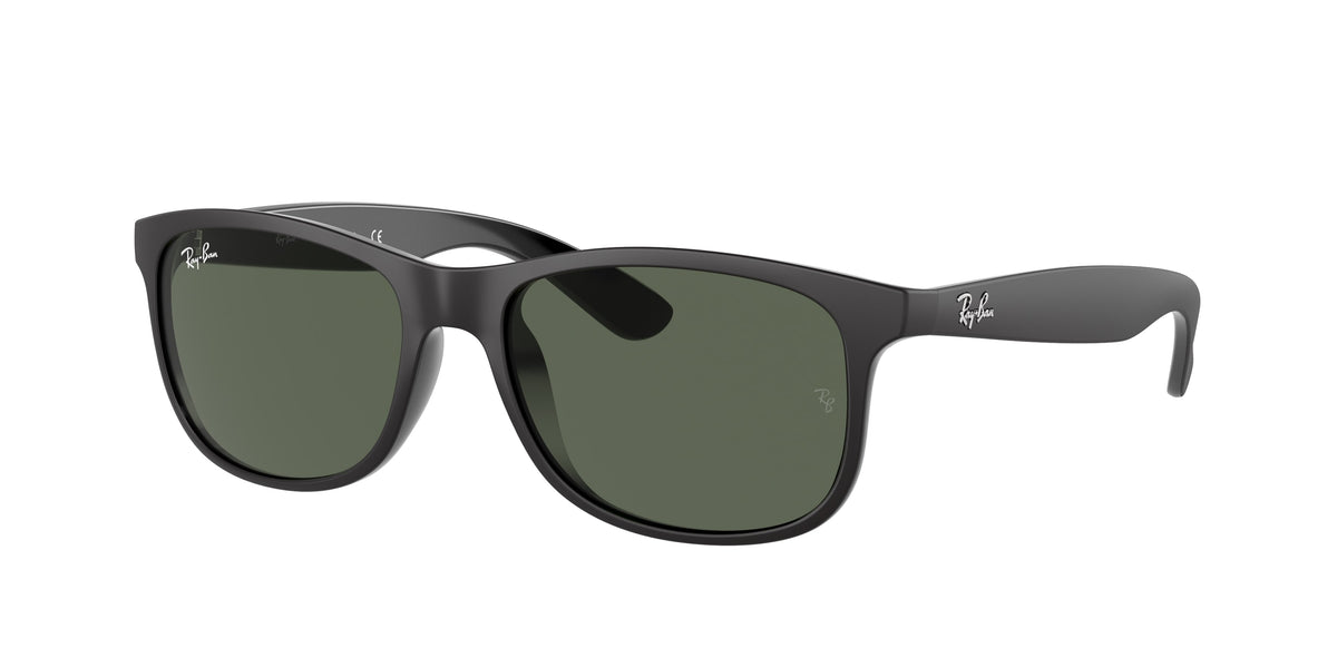 RB4202 - 606971 sunglasses - view 1