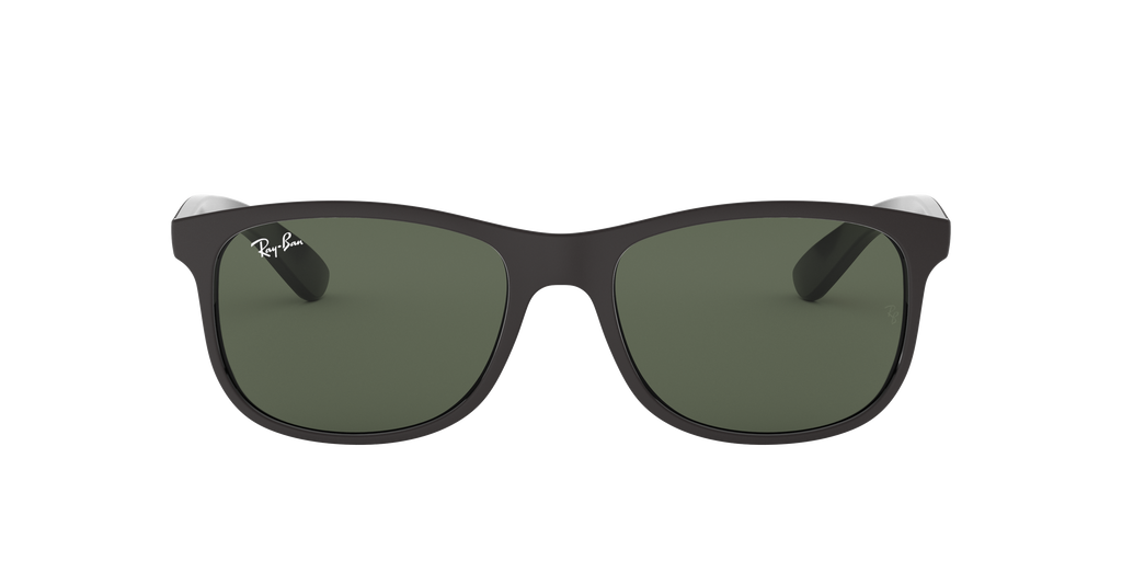 RB4202 - 606971 sunglasses - view 2