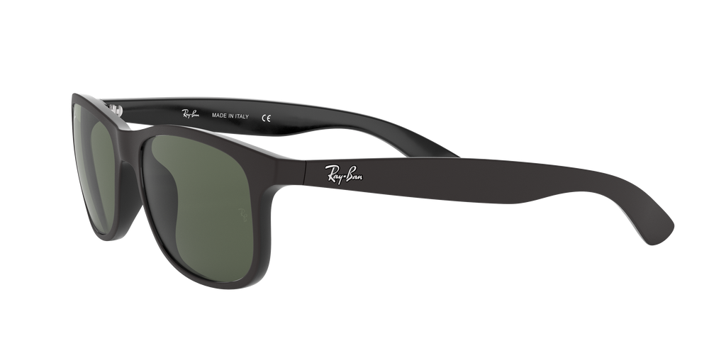 RB4202 - 606971 sunglasses - view 4