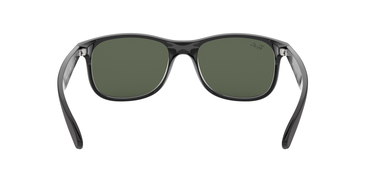 RB4202 - 606971 sunglasses - view 8