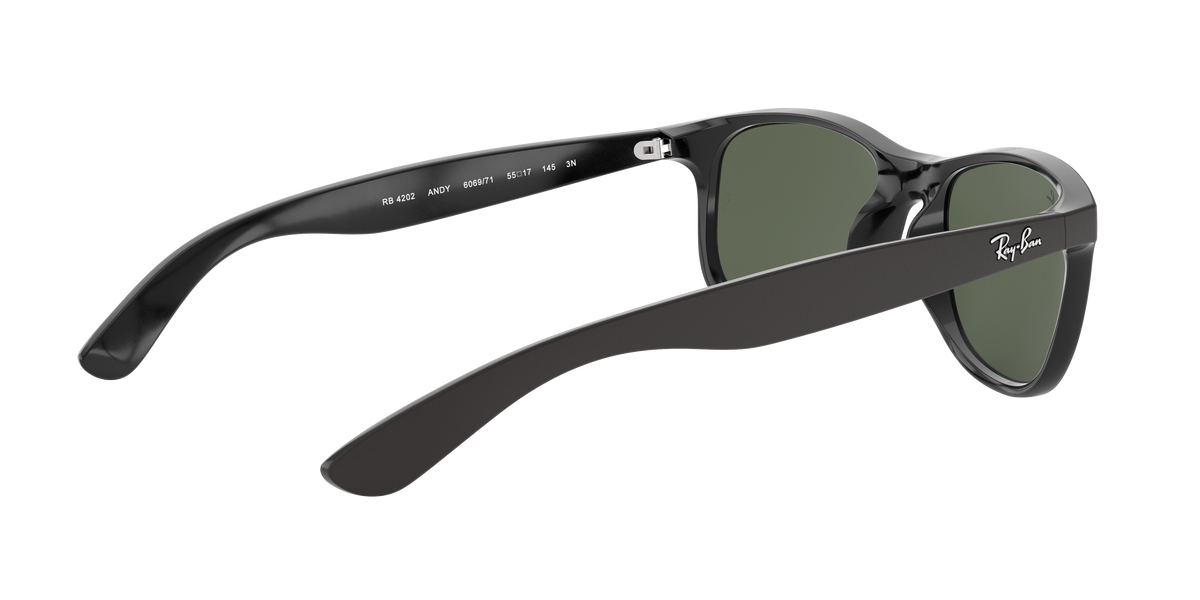 RB4202 - 606971 sunglasses - view 10