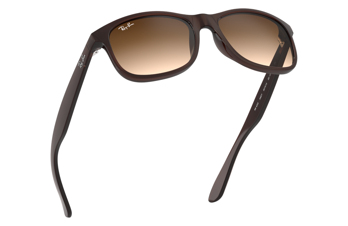RB4202 - 607313 sunglasses - view 14