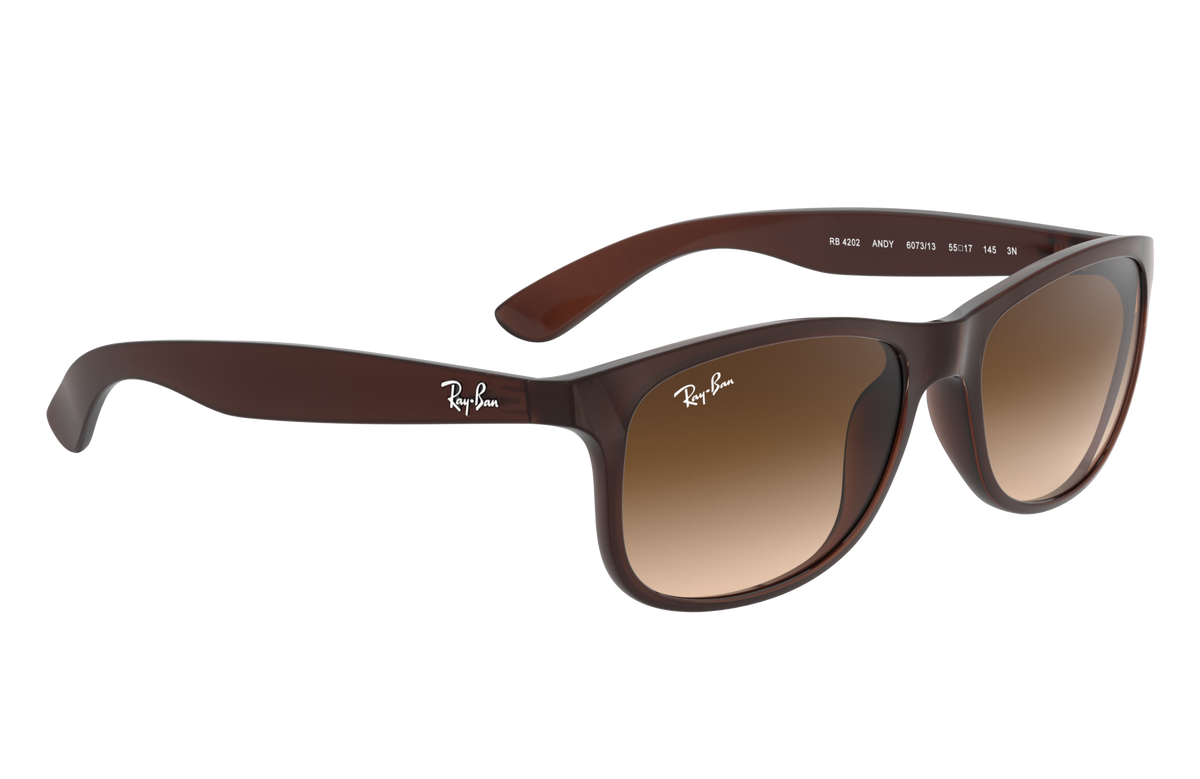 RB4202 - 607313 sunglasses - view 15