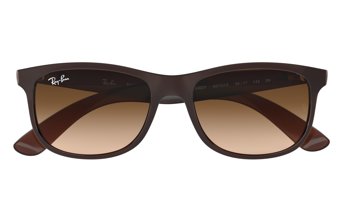 RB4202 - 607313 sunglasses - view 16