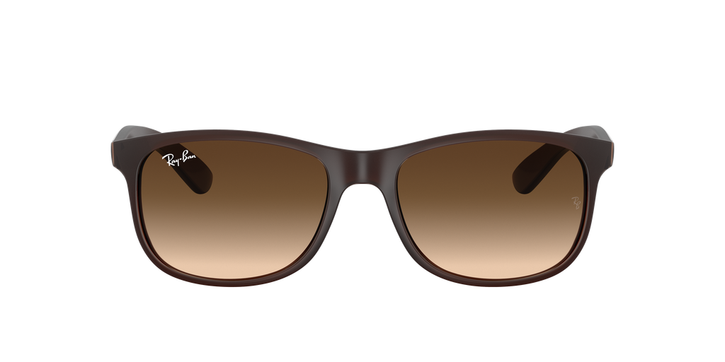RB4202 - 607313 sunglasses - view 19