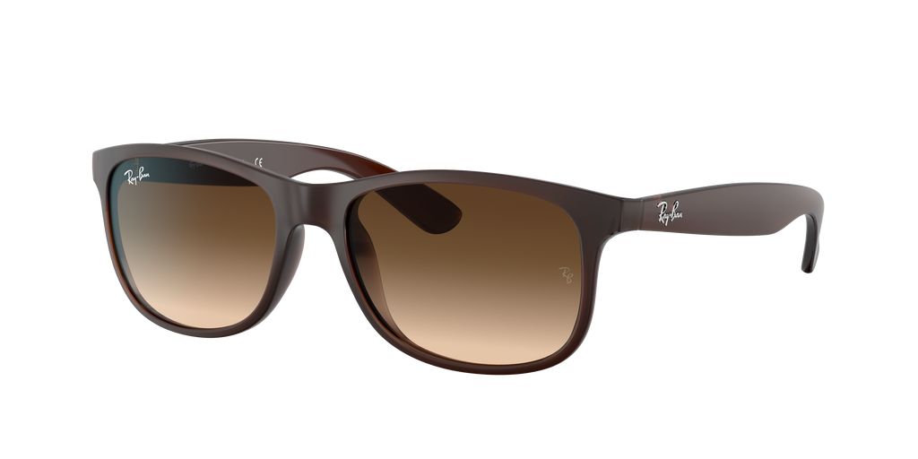 RB4202 - 607313 sunglasses - view 20