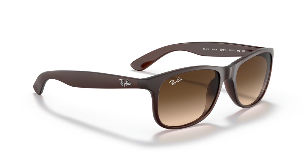 RB4202 - 607313 sunglasses - view 21