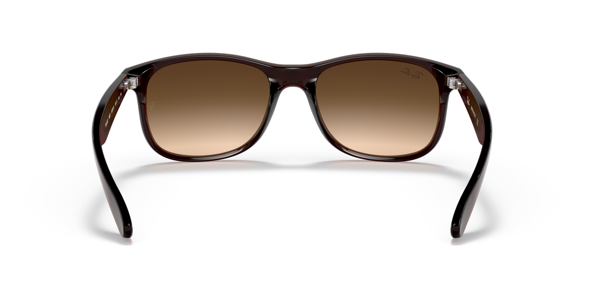 RB4202 - 607313 sunglasses - view 22