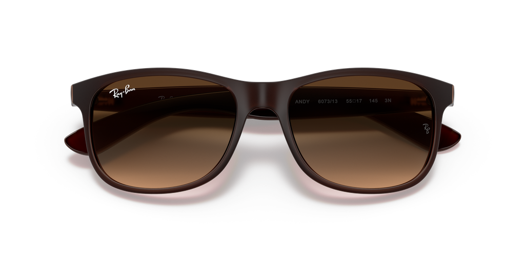 RB4202 - 607313 sunglasses - view 23
