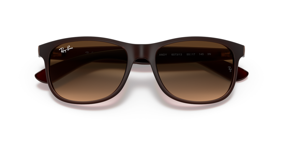 RB4202 - 607313 sunglasses - view 23