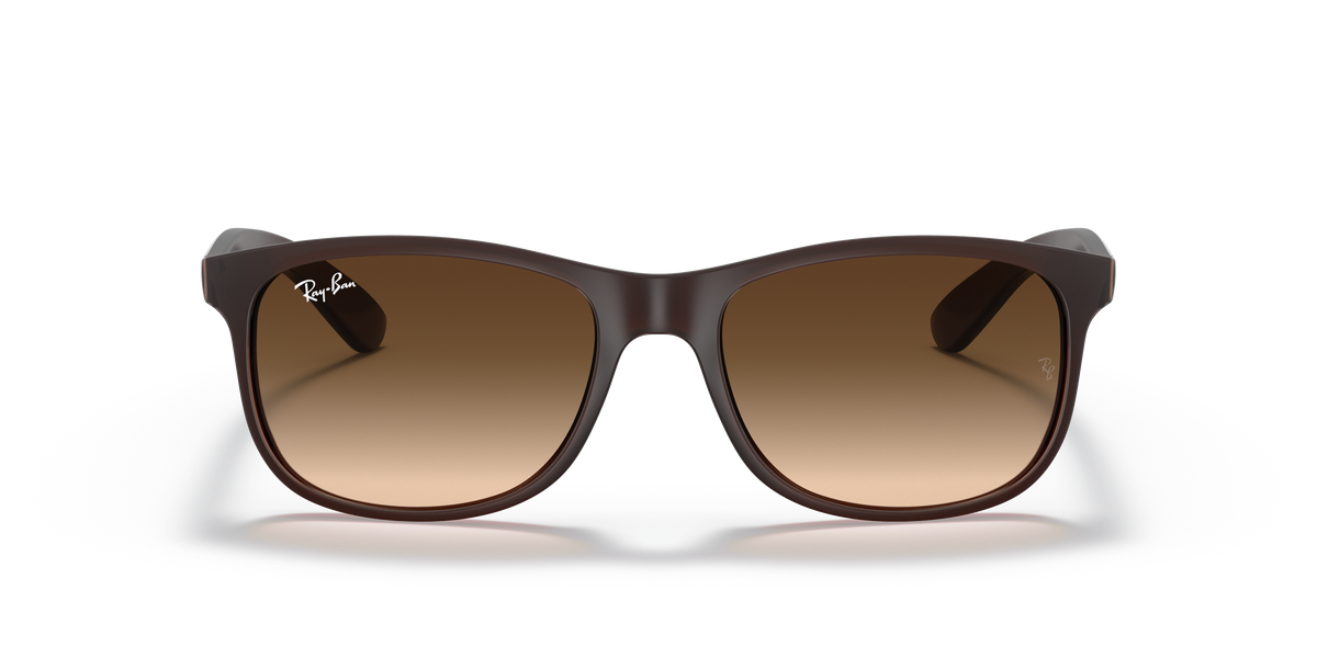 RB4202 - 607313 sunglasses - view 24