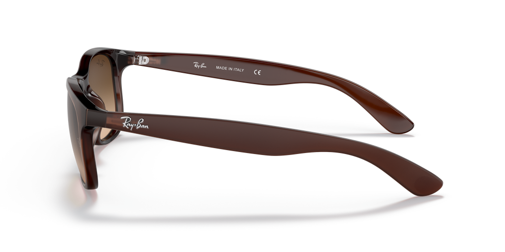 RB4202 - 607313 sunglasses - view 25