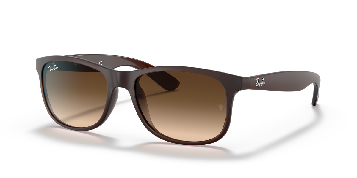 RB4202 - 607313 sunglasses - view 26