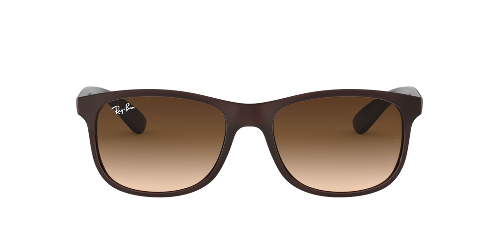 RB4202 - 607313 sunglasses - view 2
