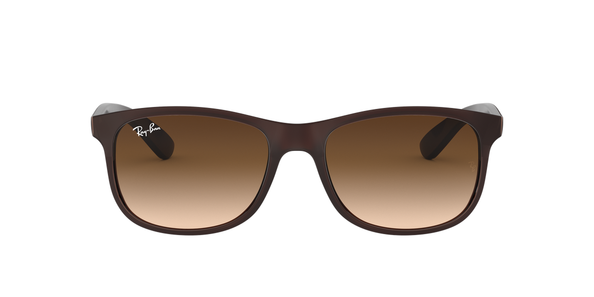 RB4202 - 607313 sunglasses - view 2