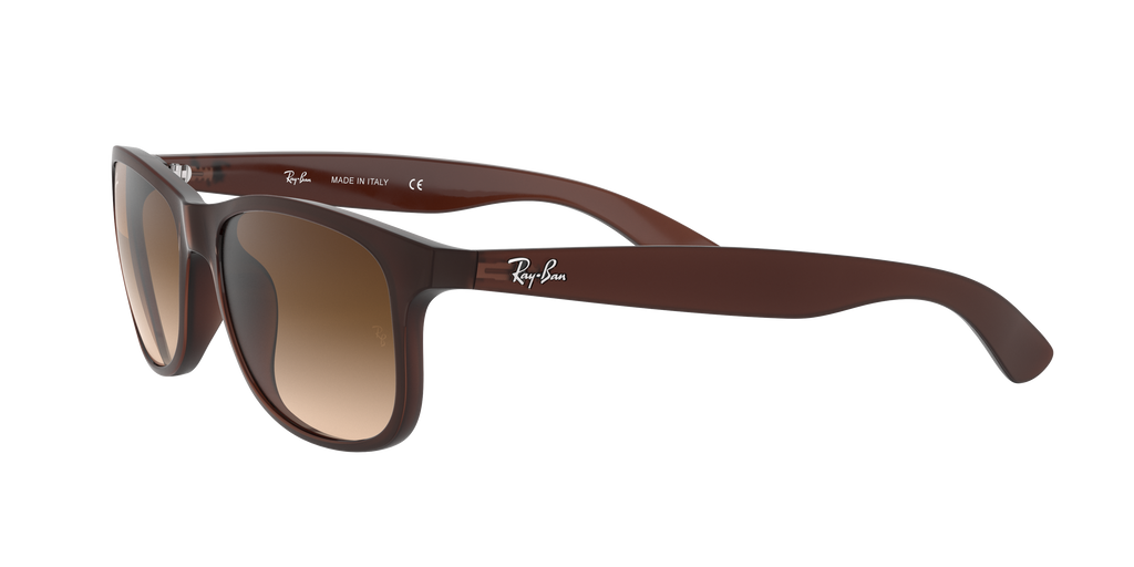 RB4202 - 607313 sunglasses - view 4