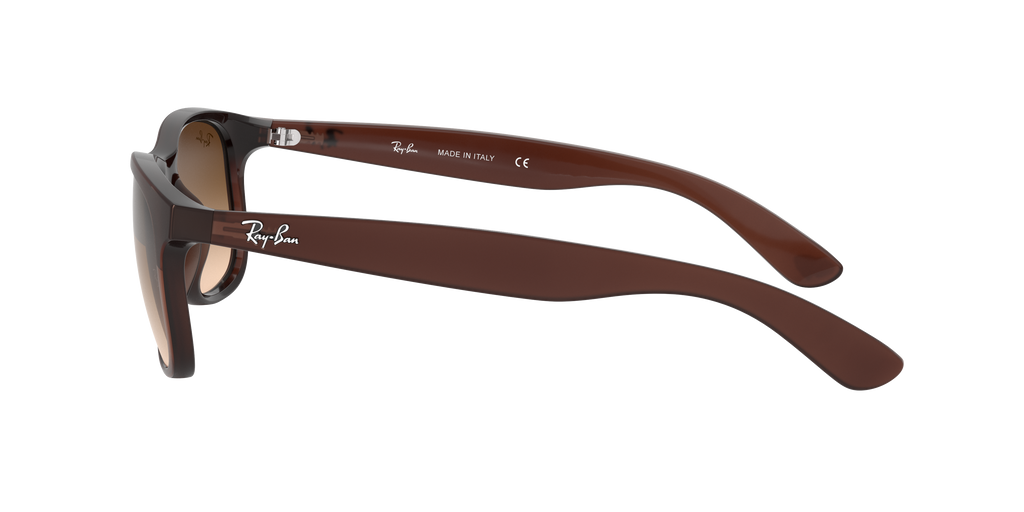 RB4202 - 607313 sunglasses - view 5